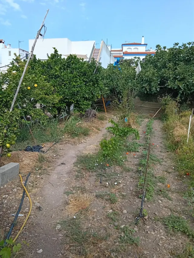 ¡Gran oportunidad en La Villa! Solar urbano de 1600 m2 en Ayamonte — 13