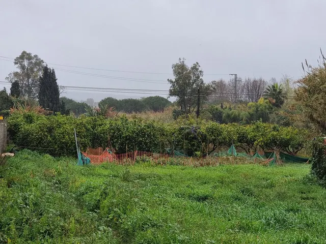 Parcela en venta - San Enrique De Guadiaro — 2