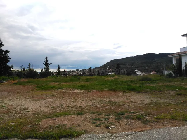 Exclusiva parcela con proyecto en entorno natural privilegia - foto 2