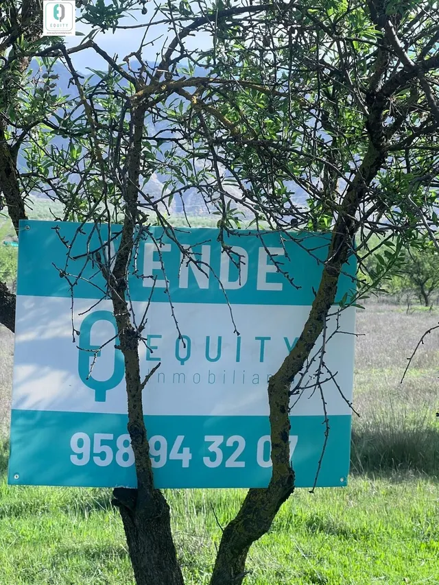 TERRENO RUSTICO EN PADUL — 13