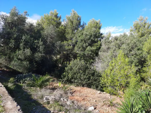 Parcela en zona Corral de calafat — 16