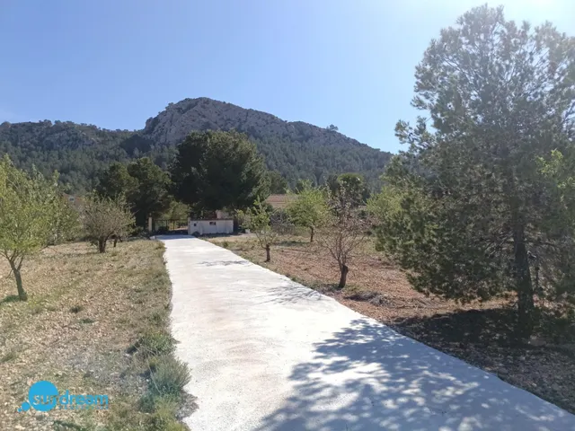 Villa 4 habitaciones 202m² en venta - Abanilla — 34