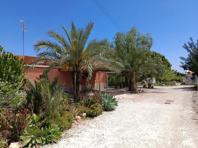 CASA DE CAMPO CERCA DE ELCHE — 33