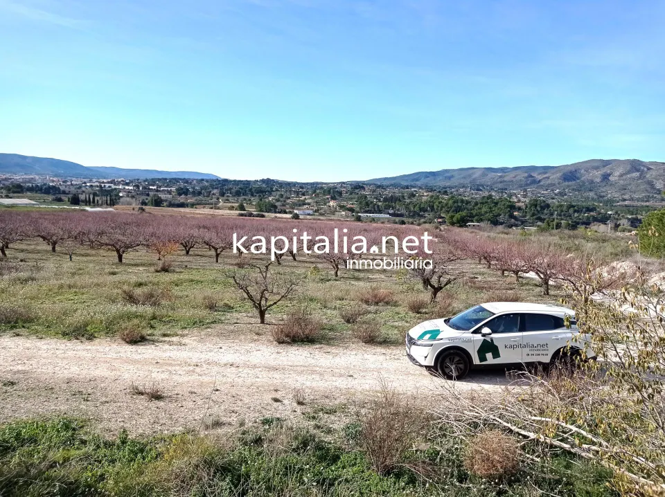 PARCELAS A LA VENTA EN LOS TERMINOS DE ONTINYENT Y AGULLENT, ZONA CALS XOPS Y CAL CANONGE
