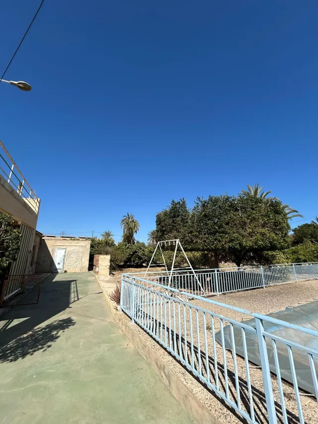 BUSCAS UN CAMPO A 2 MINUTOS DE ELCHE ? — 6