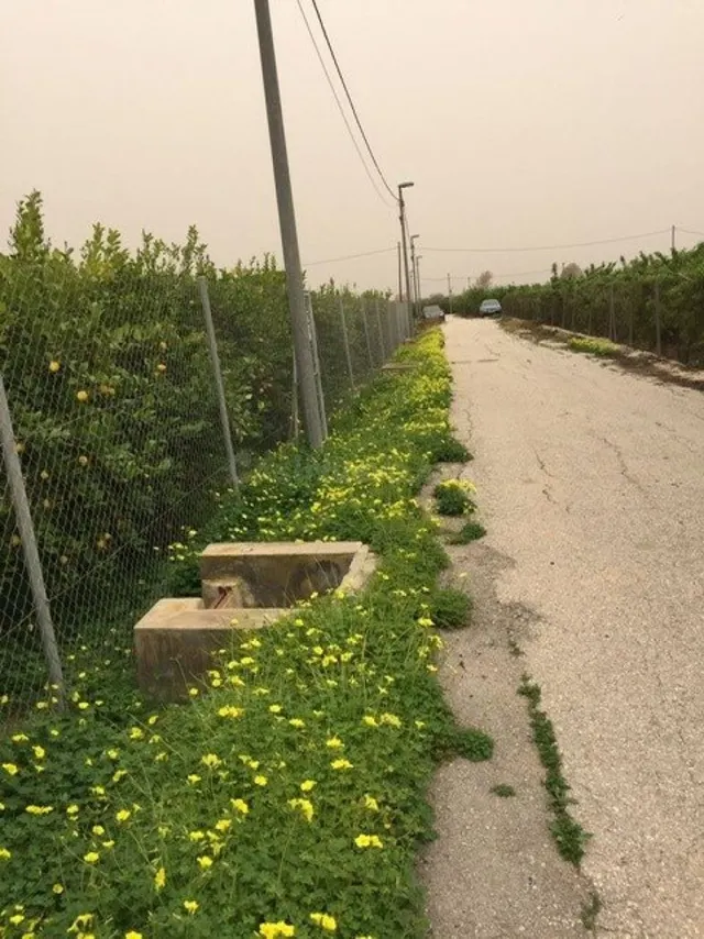 Parcela - Llano de Brujas, Murcia - foto 4