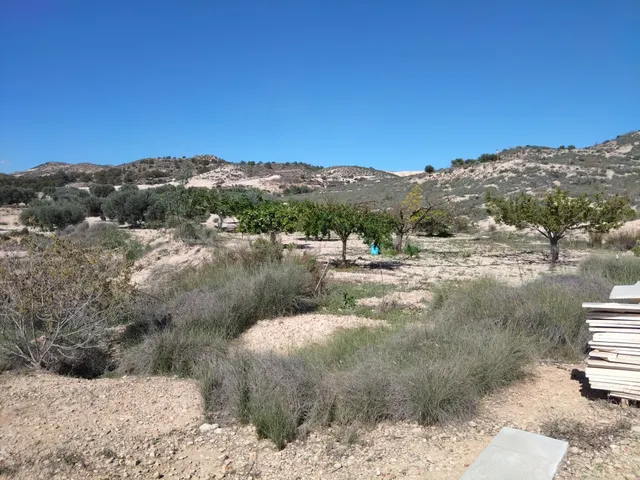 CASA PARA REFORMAR CON TERRENO - foto 5
