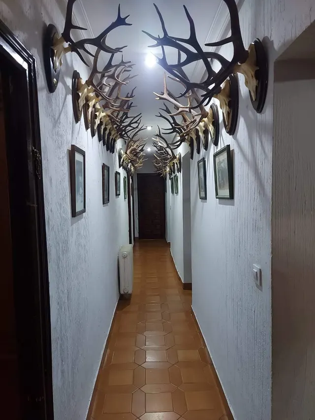 EXCLUSICA CASA EN ALDEA DEL CANO CON 8000 METROS DE PARCELA — 20