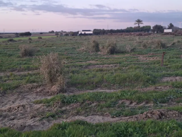 Parcela de 12.000 m2 en marquesado — 5