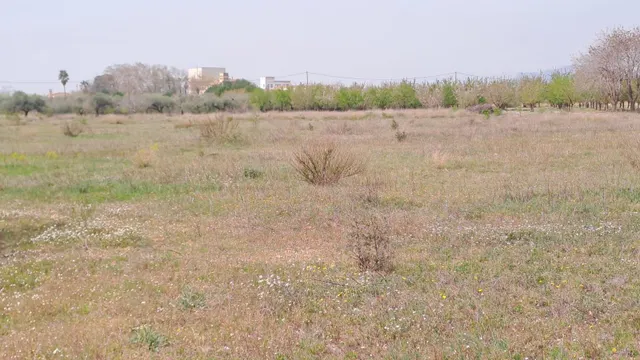 Finca rústica en venta en Constanti — 9