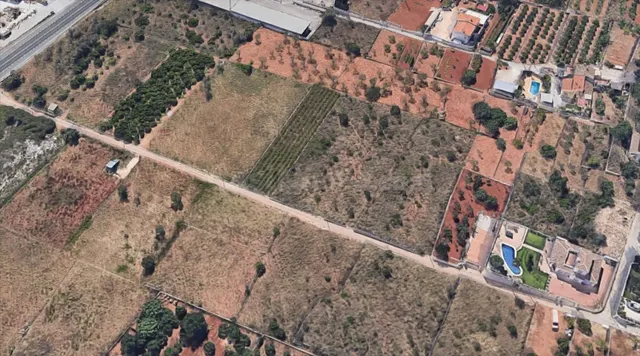 Terreno rural en venta - Centro - foto 3
