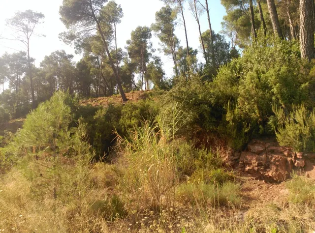 Espectacular terreno que da a dos calles, en Corbera de Llobregat, cerca Hotel Can Fisa. — 12