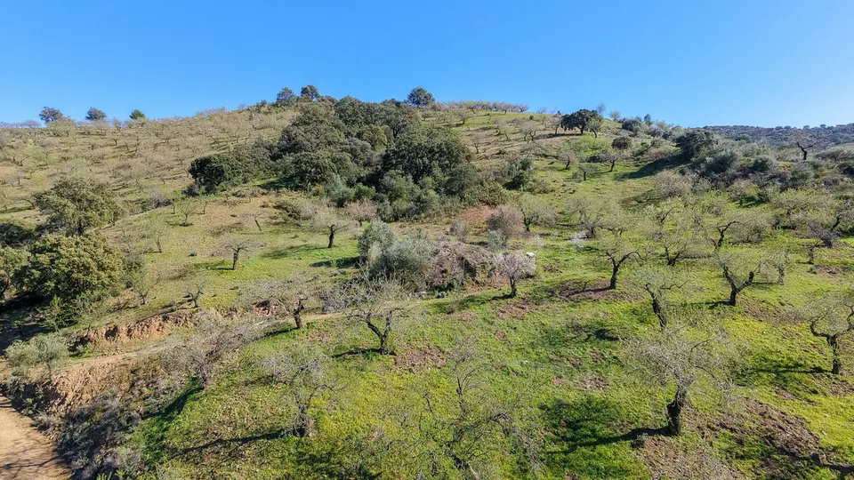 Parcela 130m² en venta - Marbella