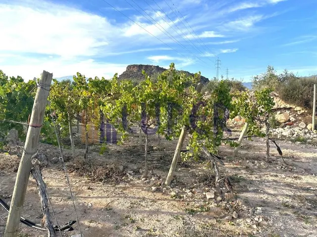 Finca Rústica en Agost - foto 3