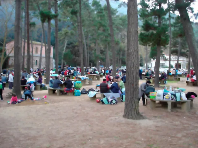 Finca rústica de 9 hectáreas en Arenys de Munt — 44