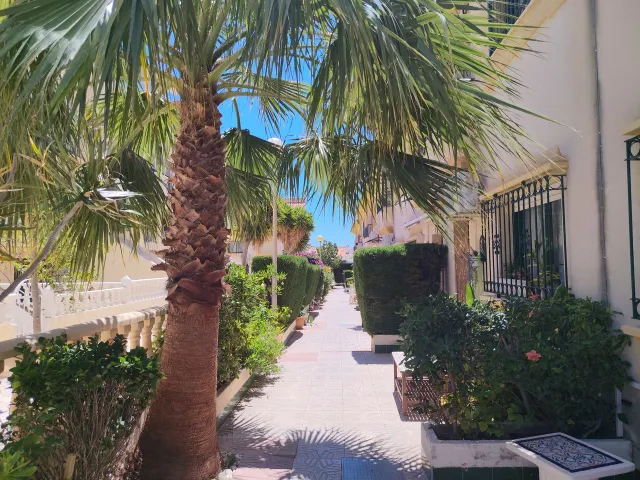 Casa 3 habitaciones 100m² en venta - La Zenia — 37