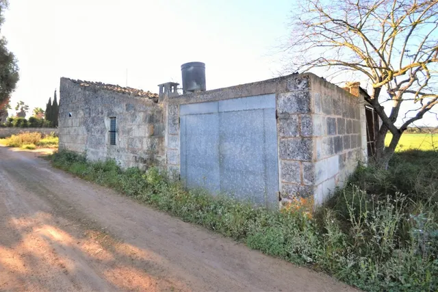Finca con proyecto aprobado en Llubi - foto 5