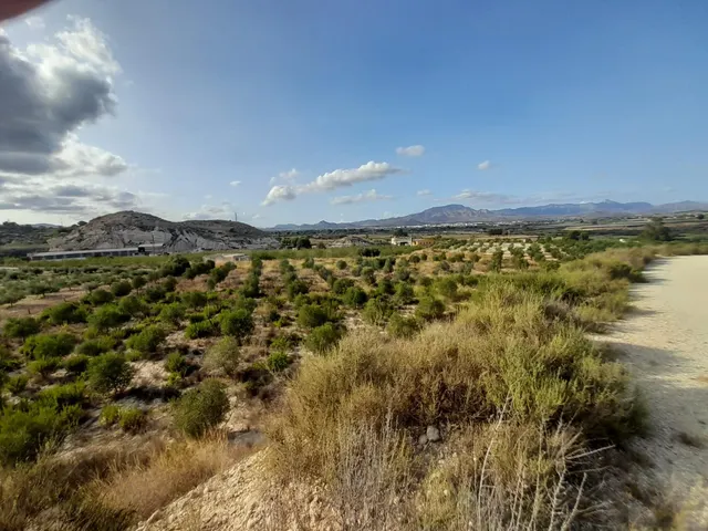 PARCELAS EN ASPE - foto 3