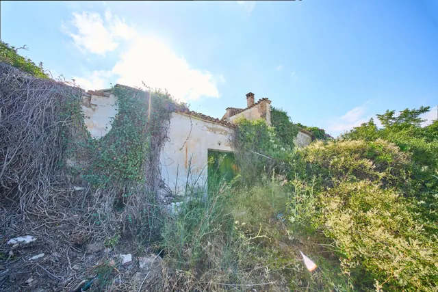 Gran Oportunidad en el Valle de Lecrín: Finca Rústica de 61. - foto 5