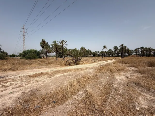 PARCELA DE 10.200M MUY PRÓXIMO A ELCHE PARA PODER CONSTRUIR  - foto 4