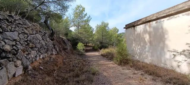 Encantadora Casa de Campo en Hondon de las Nieves - Oportunidad Única — 23