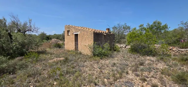 Finca rústica con olivos a 4 km de l’Ametlla de Mar, en ento - foto 5
