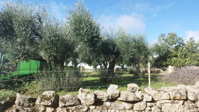 Estupenda parcela urbana en el centro de Aldea del Cano - foto 5