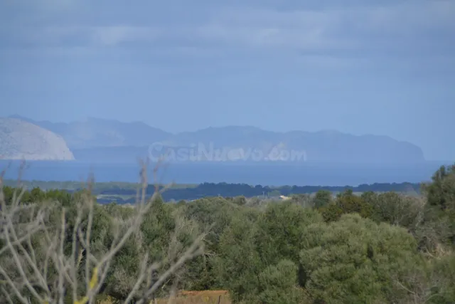 Finca rústica Manacor — 2