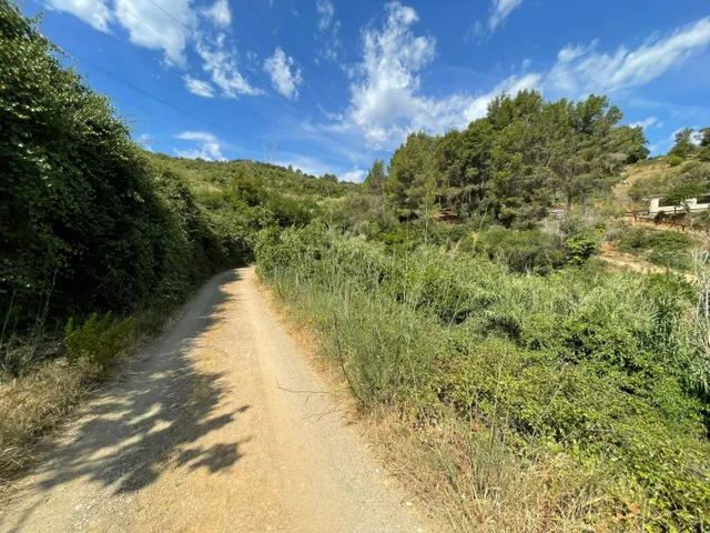 Terreno agrícola en Sant Climent de Llobregat - foto 4