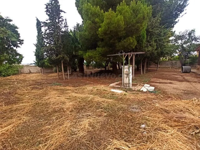 SOLAR EN HELLÍN - foto 3
