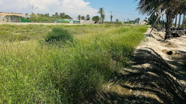 Terreno Rústico en Partida Daimes – 11.000 m2 en Camí Fondo  - foto 4