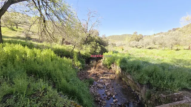 CHALET EN VENTA EN EL PUERTO CALATRAVEÑO - foto 5