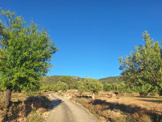 Terreno rústico a solo 3 km de Biar | Posibilidad de construir vivienda y conectar a agua y electricidad — 16