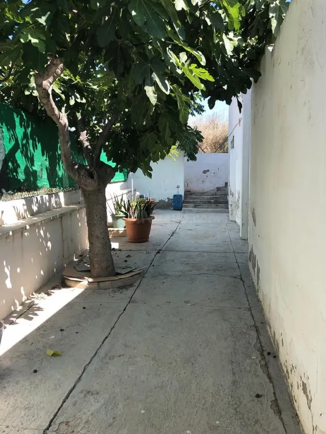 CASA DE CAMPO EN EL MISMO PUEBLO DE ELDA FRENTE MONTE BOLON - foto 4
