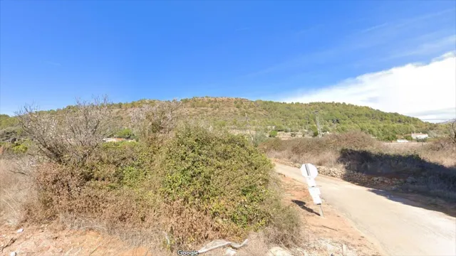 Terreno rural en venta - Centro - foto 5