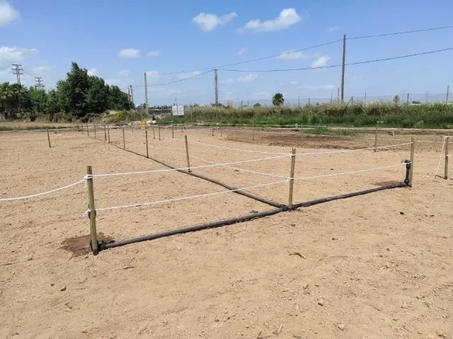 HUERTOS URBANOS EN ALAQUÀS — 21