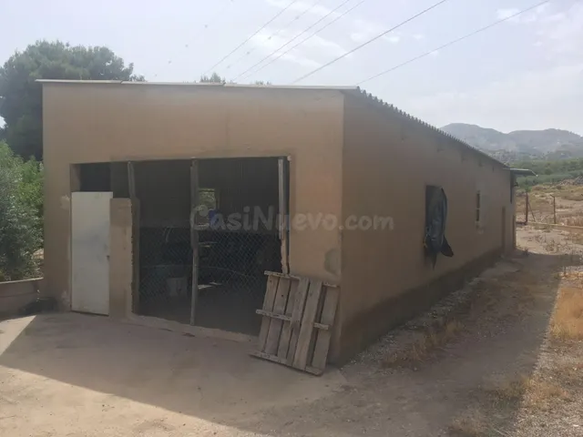 TERRENO CON CASA Y NAVES - foto 4