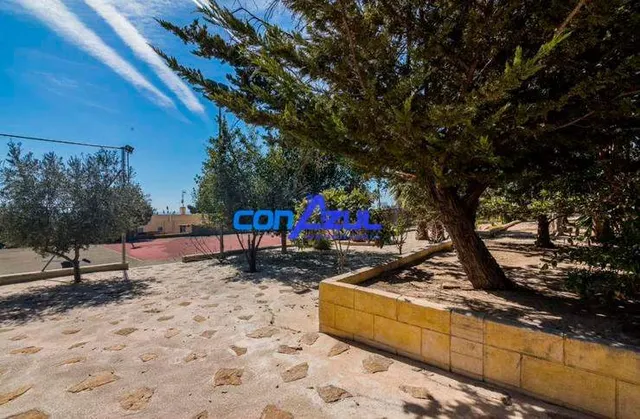 CHALET  A  UN PASO DE ELCHE, PLAYAS Y AEROPUERTO — 38