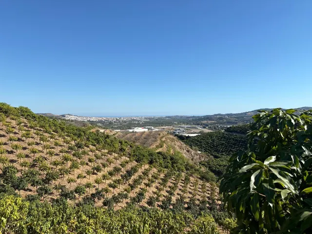 Finca rústica con cultivos y pozos propios en Vélez-Málaga — 28