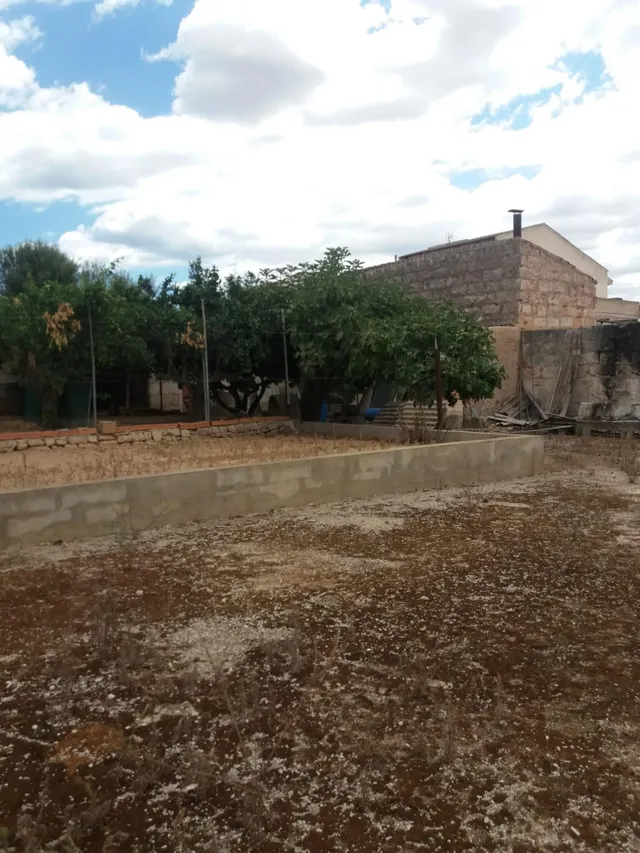 Solar en Sa Pobla — 20