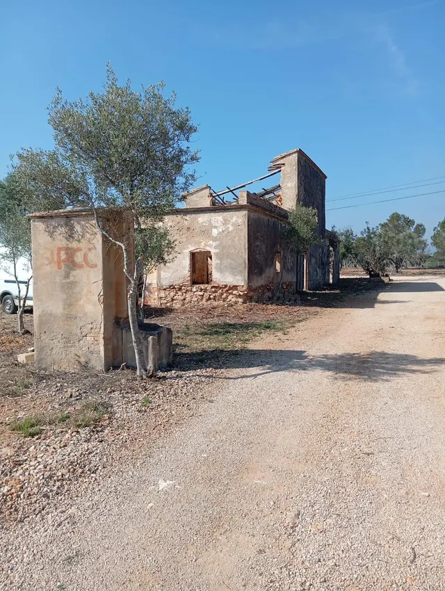 Oportunidad Única en L'Ampolla: Finca Rústica de 12,182 m2 - foto 4