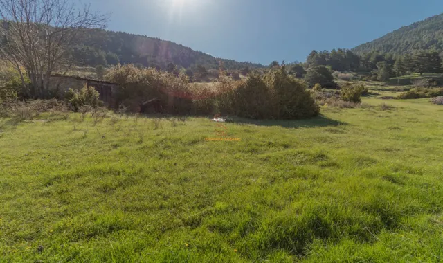 Gran finca con casa a rehabilitar — 17