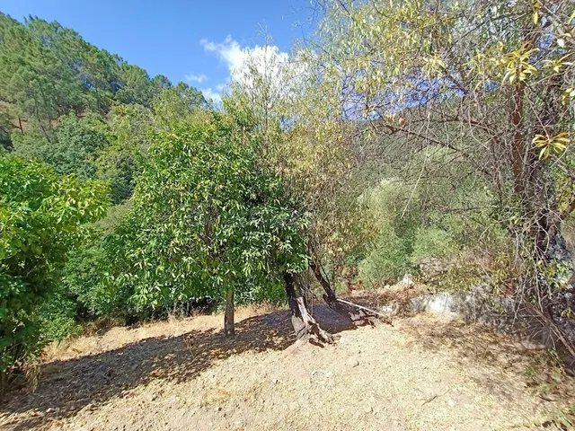 Casa de campo-Masía en Venta en Benastepal Málaga — 72