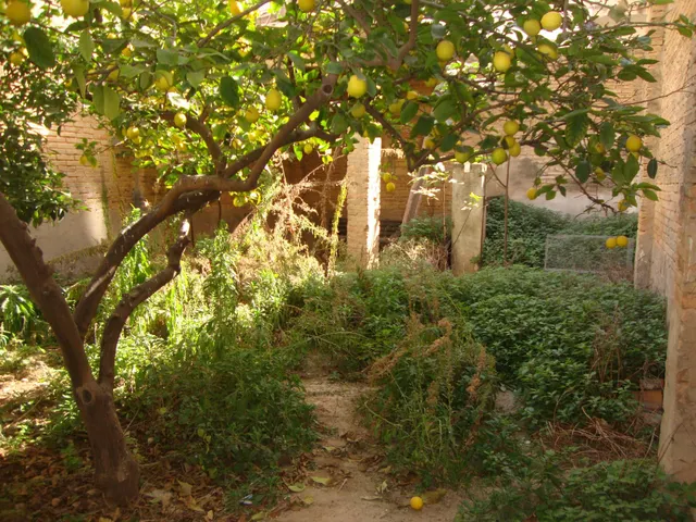 VENTA DE CASA CON AMPLIO CORRAL EN BENIFAIO — 9