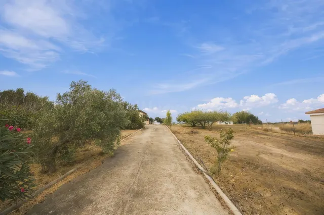 Finca rústica hipotecable con casa, pozo y frutales en Chiclana — 2