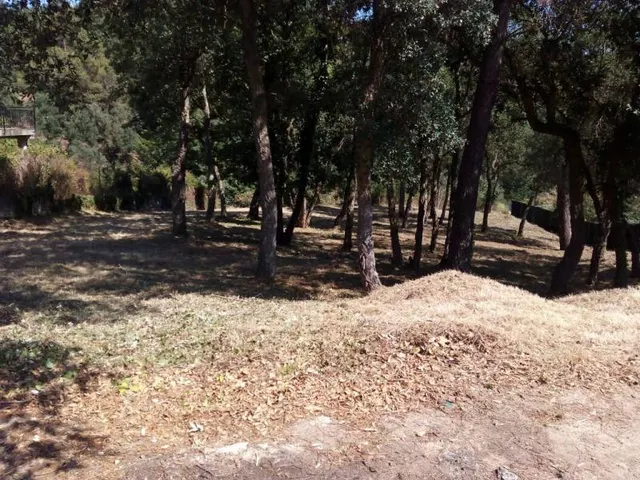 A 7 KM DE LA PLAYA DE BLANES --  se venden parcela — 4