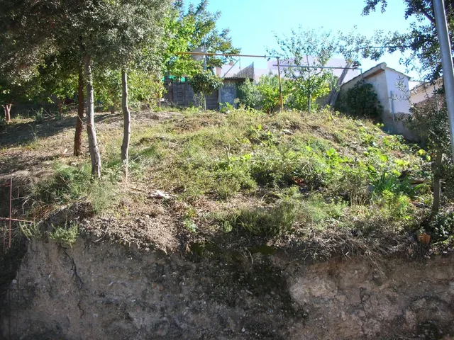 PARCELA ALBA — 2