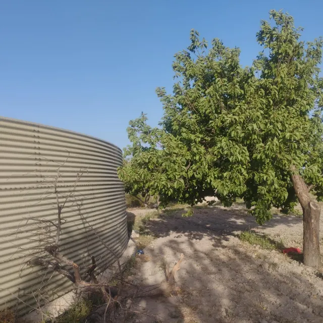 LÚCAR( ALMERÍA ). VENTA DE CORTIJO CON TERRENO. — 7