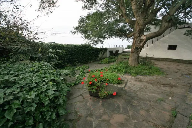 Casa Independiente — 42