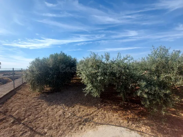 Terreno en venta en paraje Los Patas Chicos, Balsapintada — 3